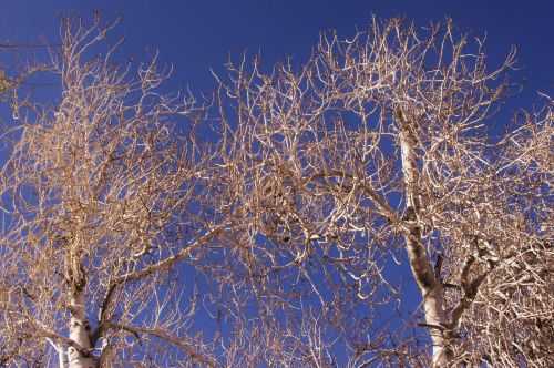 TREKKING NEL DESERTO DI ATACAMA 2015